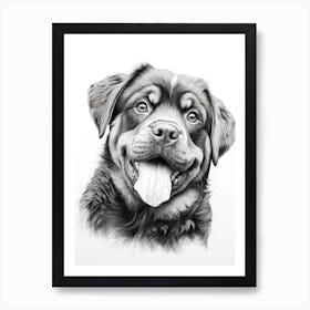 Rottweiler Dog, Line Drawing 3 Art Print