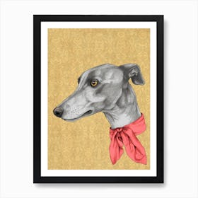 Greyhound With Scarf Art Print