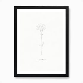 Carnation Line Drawing Art Print