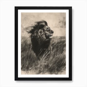 African Lion Charcoal Drawing Hunting 4 Art Print