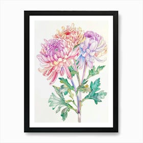 Chrysanthemums 2 Art Print