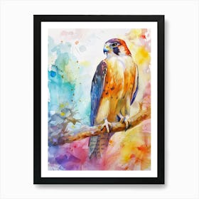 Falcon Colourful Watercolour 3 Art Print