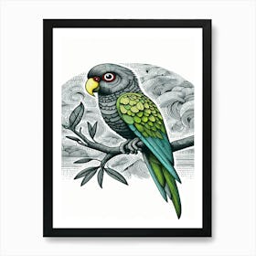 Rascal Parrot Art Print