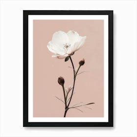 White flower minimal art Art Print