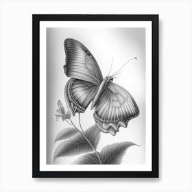Butterfly On Flower Greyscale Sketch 1 Art Print