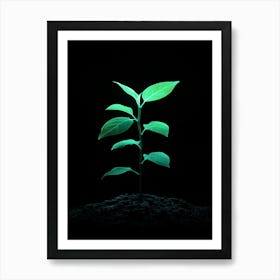 Green Plant Growing In The Dark 2 Art Print