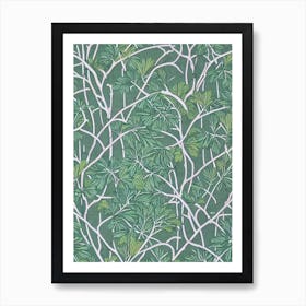 Japanese Black Pine tree Vintage Botanical Art Print