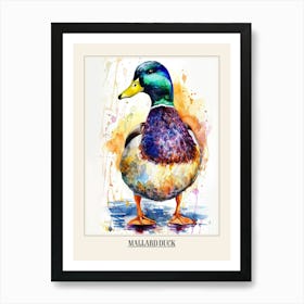 Mallard Duck Colourful Watercolour 1 Poster Art Print