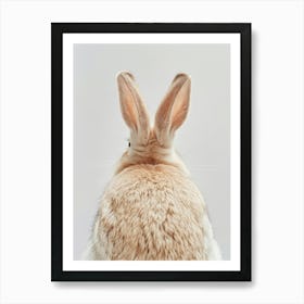 Rabbit On A White Background Art Print