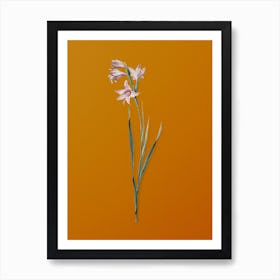 Vintage Painted Lady Botanical on Sunset Orange n.0844 Art Print