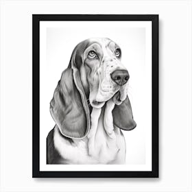 Basset Hound Dog, Line Drawing 2 Art Print