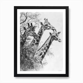 Herd Of Giraffe By The Tree 2 Art Print