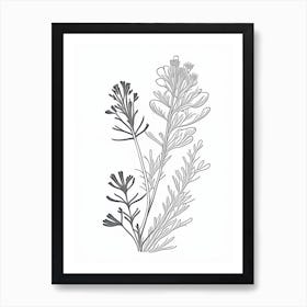 Fenugreek Herb William Morris Inspired Line Drawing 2 Art Print