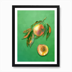 Vintage Peach Botanical Art on Classic Green n.0757 Art Print