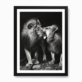 Barbary Lion Charcoal Drawing Rituals 1 Art Print