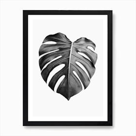 Monstera Leaf Art Print