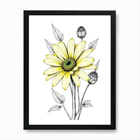 Daisy 5 Art Print