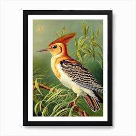 Hoopoe Haeckel Style Vintage Illustration Bird Art Print