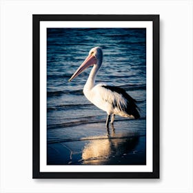 The Pelican Art Print