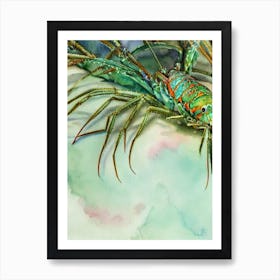 Spiny Lobster II Storybook Watercolour Art Print