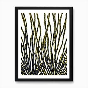 Acropora Millepora Efflorescens Linocut Art Print
