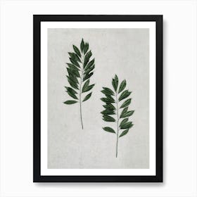 Lush Leaves Duo Art Print