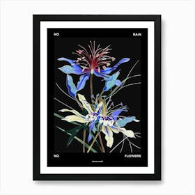 No Rain No Flowers Poster Love In A Mist Nigella 5 Art Print