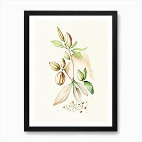 Cardamom Herb Minimalist Watercolour Art Print