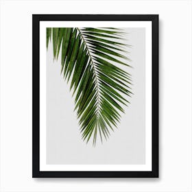 Palm Leaf I Art Print