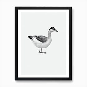 Duck B&W Pencil Drawing 2 Bird Art Print