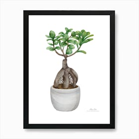 Bonsai Tree.A fine artistic print that decorates the place. Art Print