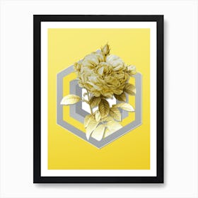 Botanical Giant French Rose in Gray and Yellow Gradient n.256 Art Print