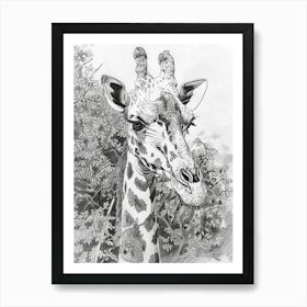 Zoo Austin Texas Black And White Drawing 4 Art Print