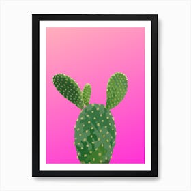 Cactus On Pink Background Art Print
