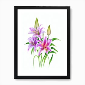 Lilies 2 Watercolour Flower Art Print