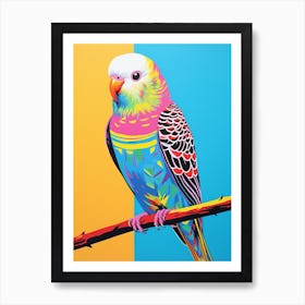 Colourful Bird Painting Budgerigar 3 Art Print