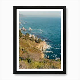 Big Sur IX on Film Art Print