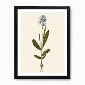 Blue Orchid Art Print