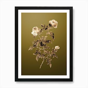 Gold Botanical Rose of the Hedges on Dune Yellow n.4532 Art Print