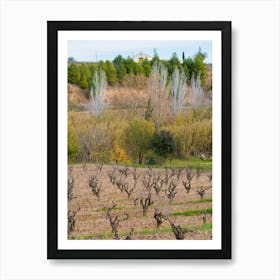 Vineyard In Spain 20211128 187ppub Art Print