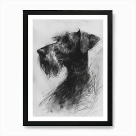 Wirehaired Vizsla Dog Charcoal Line Art Print