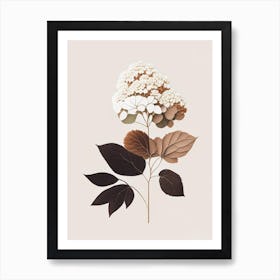 Hydrangea Root Spices And Herbs Retro Minimal 2 Art Print