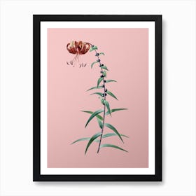 Vintage Tiger Lily Botanical on Soft Pink n.0203 Art Print