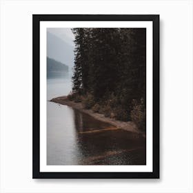 Deer Walking Along Lake Art Print