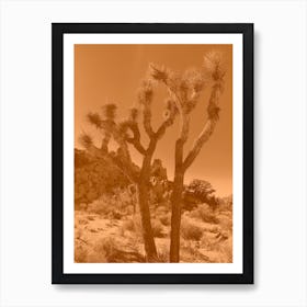 Orange Joshua trees Art Print