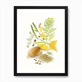 Fenugreek Seed Spices And Herbs Pencil Illustration 4 Art Print