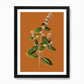 Thyme Art Print