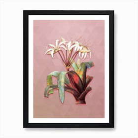 Vintage Crinum Erubescens Botanical Art on Crystal Rose n.0208 Art Print