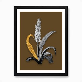 Vintage Eucomis Punctata Black and White Gold Leaf Floral Art on Coffee Brown n.0509 Art Print