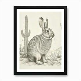 American Fuzzy Rabbit Drawing 4 Art Print